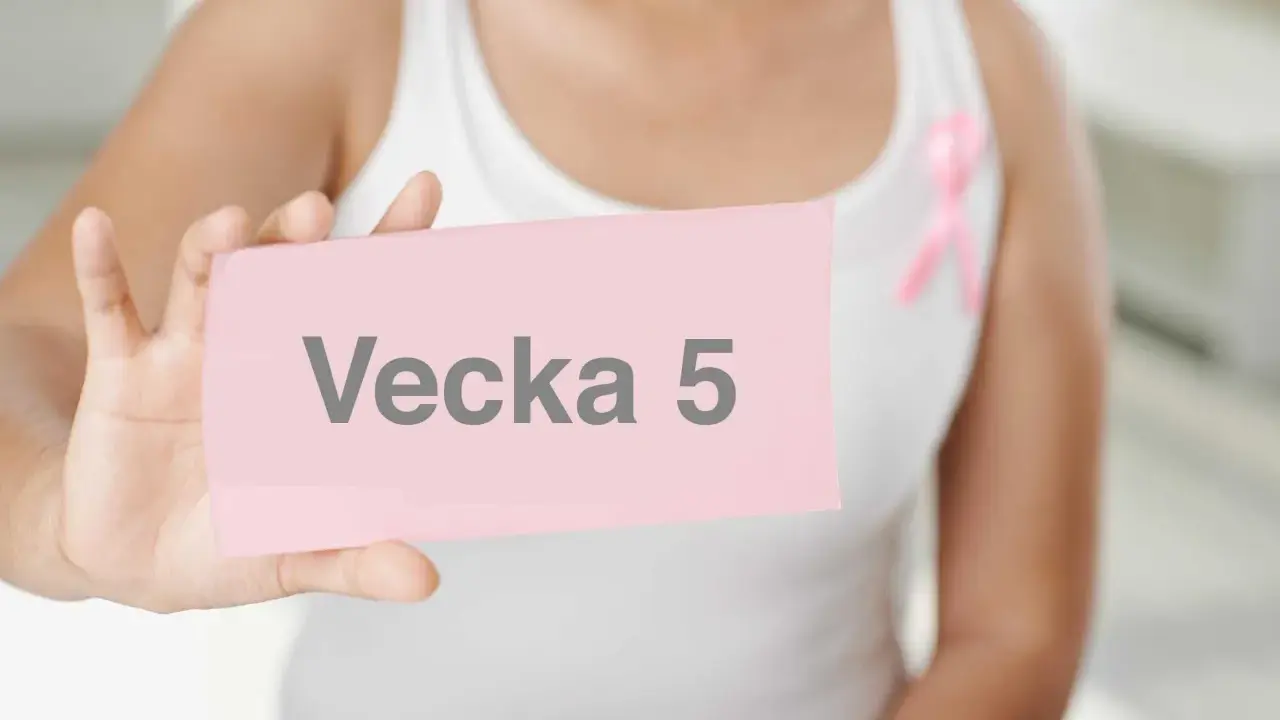 En person håller upp en rosa lapp med texten "Vecka 5". En rosa band pryder personens vita linne.