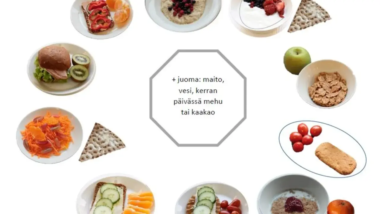 Olika alternativ för mellanmål barn utflykt: smörgåsar, frukt, gröt, yoghurt och kex.