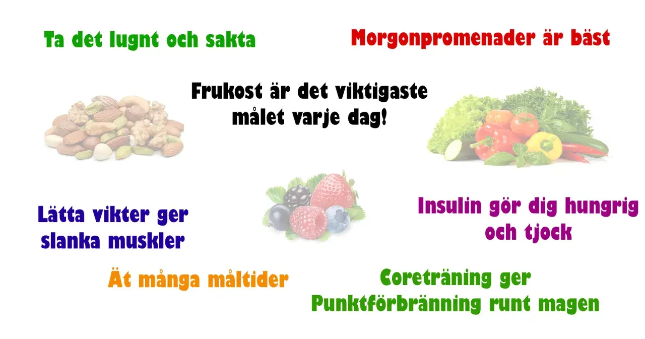 Frukost är viktigast för att gå ner i vikt vegan. Morgonpromenader, nötter, bär och grönsaker hjälper.