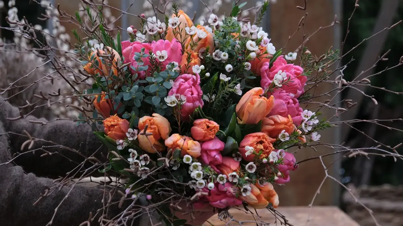 En bukett med rosa och orange tulpaner, omgiven av kvistar och små vita blommor. Vatten droppar från de gröna bladen.