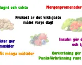 Frukost är viktigast för att gå ner i vikt vegan. Morgonpromenader, nötter, bär och grönsaker hjälper.
