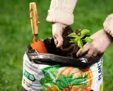 Händer planterar en planta i påse med torvfri jord. En liten spade ligger bredvid.