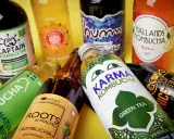 Flera flaskor kombucha, en nyttig och fermenterad dryck, ligger utspridda. Olika märken som Captain Kombucha, Karma Kombucha och Hallands Kombucha syns.