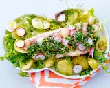 Enkel nyttig mat: en fiskfilé med potatis, rädisor och krasse på en bädd av sallad.