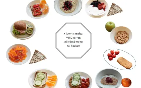 Olika alternativ för mellanmål barn utflykt: smörgåsar, frukt, gröt, yoghurt och kex.