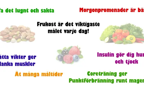 Frukost är viktigast för att gå ner i vikt vegan. Morgonpromenader, nötter, bär och grönsaker hjälper.