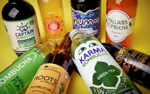 Flera flaskor kombucha, en nyttig och fermenterad dryck, ligger utspridda. Olika märken som Captain Kombucha, Karma Kombucha och Hallands Kombucha syns.