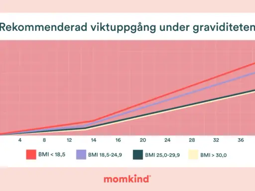 Graf som visar rekommenderad viktuppgång under graviditet, uppdelad efter BMI. En tabell för viktuppgång graviditet.