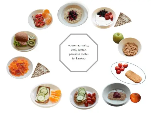 Olika alternativ för mellanmål barn utflykt: smörgåsar, frukt, gröt, yoghurt och kex.