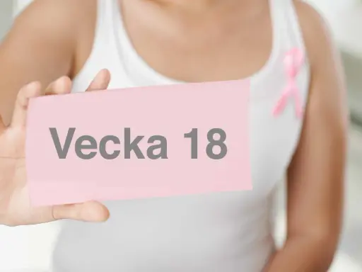 En person håller upp en rosa lapp med texten "Vecka 18". En rosa band pryder personens vita linne, vilket antyder en graviditet i vecka 18.