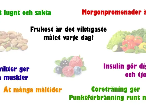 Frukost är viktigast för att gå ner i vikt vegan. Morgonpromenader, nötter, bär och grönsaker hjälper.