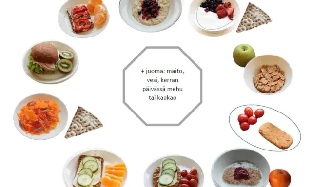 Olika alternativ för mellanmål barn utflykt: smörgåsar, frukt, gröt, yoghurt och kex.