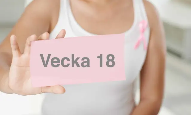 En person håller upp en rosa lapp med texten "Vecka 18". En rosa band pryder personens vita linne, vilket antyder en graviditet i vecka 18.