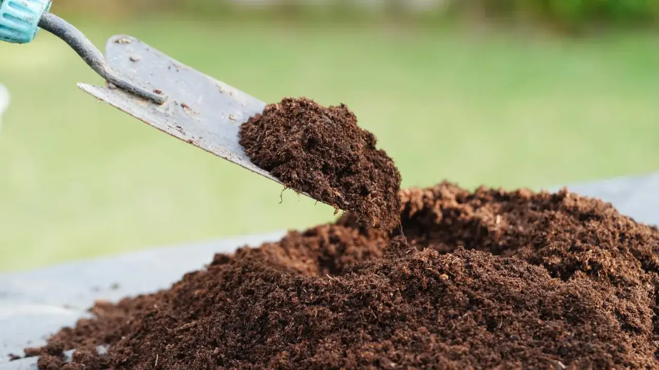 En spade fylls med mörk, näringsrik torvfri jord. Perfekt för dina växter och en bättre miljö.