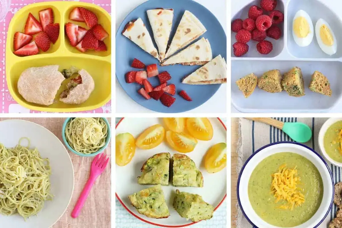 H&auml;r &auml;r sex olika f&ouml;rslag p&aring; vegetarisk mat f&ouml;r barn: jordgubbar med en liten bulle, quesadillas med jordgubbar, hallon och &auml;gg, sm&aring; matmuffins, spaghetti med pesto och gr&ouml;nsakssoppa.
